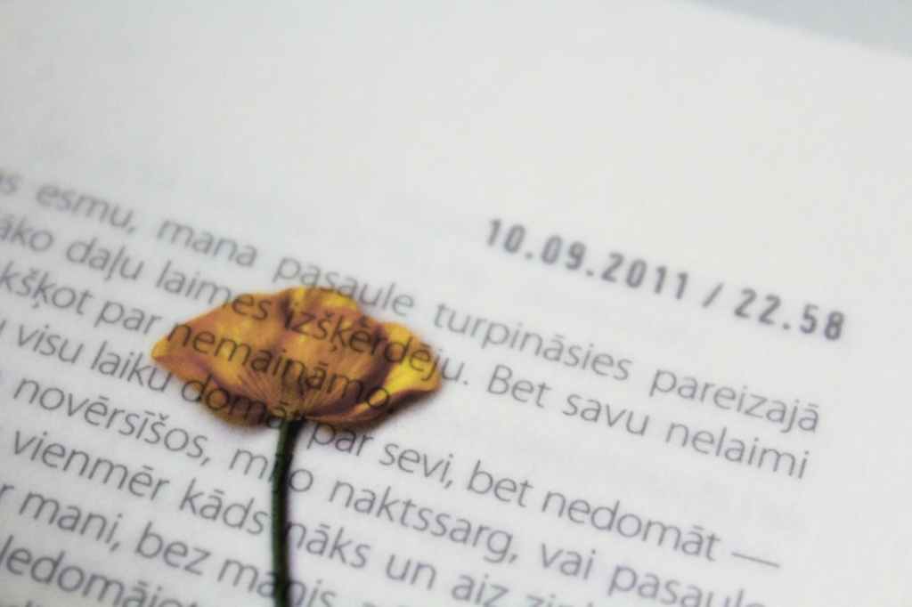 Fluency in a Foreign&nbsp;Language