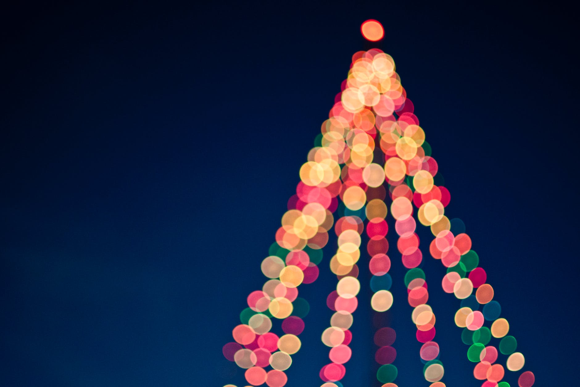 Winter Illuminations in Japan