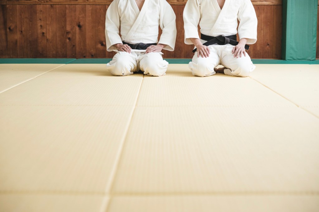 The Judo Club